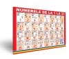 Numerele de la 1 la 31 – planșă 50×70 – Proiecte Tematice