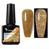 Oja Venalisa Reflective Neon Flash Gel – BD09