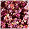 Pigment fulgi #08