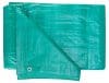 Prelata cu inele Evotools, impermeabila, protectie UV, lungime 6m, latime 5m, greutate 120g/mp, culoare verde