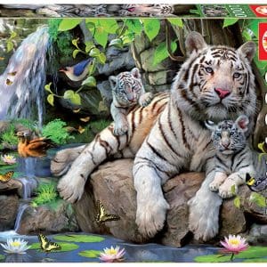 Puzzle cu 1000 de piese – Tigri bengalezi albi