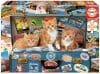 Puzzle cu 200 de piese – Pisici călătoare