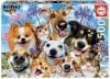 Puzzle cu 500 de piese – Selfie. Distracție sub soare