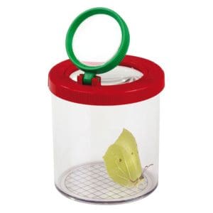 Recipient cu 2 lupe pentru insecte