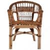 Scaun de exterior, maro, ratan natural