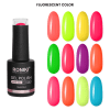 Set 12 Oje Semipermanente Roniki 10ml – Fluorescent Color