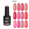 Set 12 Oje Semipermanente Roniki 10ml – Rose Red