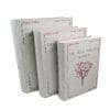 Set De 3 Cutii pentru Depozitarea Bijuteriilor Tip Carte „The Wild English Garden” – WZ2641