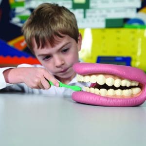 Set demonstrativ pentru igiena dentară