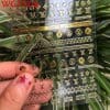 Sticker Unghii Gold – WG332