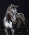 Tablou cu diamante – Cal negru, 53 x42 cm