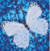 Tablou cu diamante – Fluture alb, 30 x 30 cm