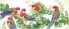 Tablou cu diamante – Papagali Rosella, 37 x 87 cm