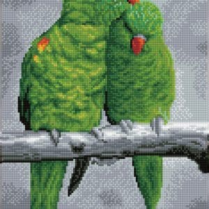 Tablou cu diamante – Papagali verzi, 41 x 31 cm