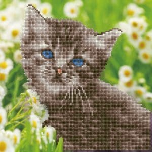 Tablou cu diamante – Pisicuța cu ochi albaștri, 30 x 30 cm