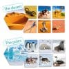 Joc de asociere – Unde trăiesc animalele?