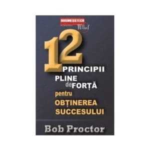 12 principii pline de forta pentru obtinerea succesului