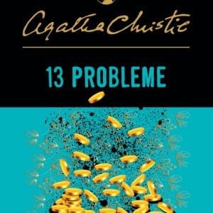 13 probleme