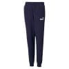ESS Logo Pants TR