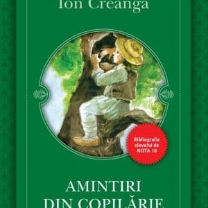 Amintiri din copilarie