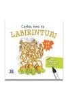 Cartea mea cu LABIRINTURI – 46 de labirinturi refolosibile + o carioca (+4 ani)