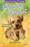 Catelusul fermecat. O parada fantastica (Nivelul 6)