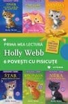 6 povesti cu pisicute – Pachet Holly Webb