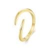 Inel din argint Simple Golden