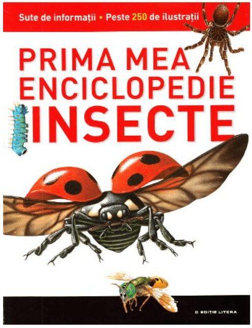 insecte_enciclopedie