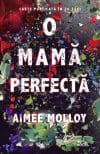 O mamă perfectă