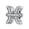 Talisman din argint Shiny Pisces
