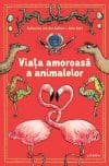 Viata amoroasa a animalelor