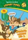 Looney Tunes. Aventurile coiotului Wile E. Supercarte de colorat